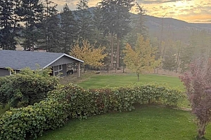 3888 Salmon River Road - Photo 42