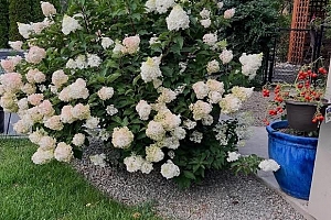 3888 Salmon River Road - Photo 47