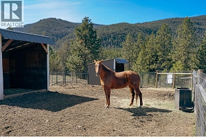 3888 Salmon River Road - Photo 50