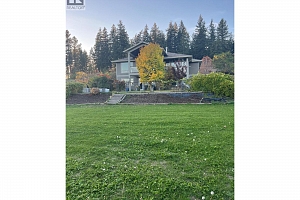 3888 Salmon River Road - Photo 52