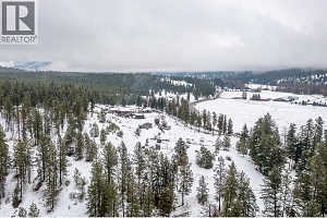 3888 Salmon River Road - Photo 7