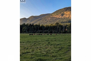 1519 Highway 6, 26 Byers Road - Photo 75