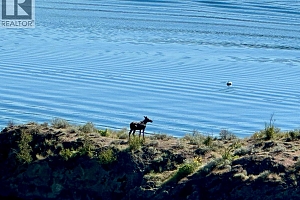 15 Traders Cove Road - Photo 90