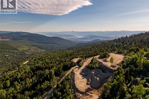 9190 Silver Star Road - Photo 8