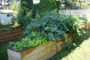 2094 Saddleview Avenue - Photo 52