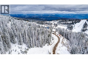 9981 Cathedral Drive - Photo 11