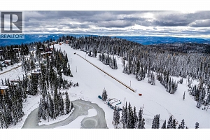 9981 Cathedral Drive - Photo 21