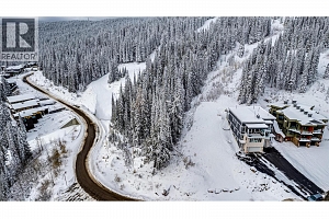 9981 Cathedral Drive - Photo 3