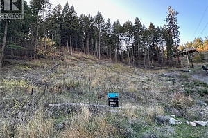 10732 Westshore Road - Photo 2