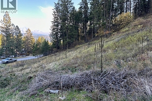 10732 Westshore Road - Photo 3