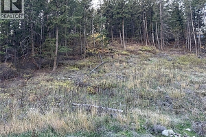 10732 Westshore Road - Photo 4