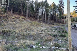 10732 Westshore Road - Photo 5