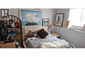 518 Leah Road - Photo 12