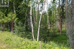 River Stone Road Lot# Lot D - Photo 15