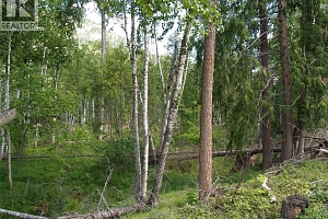 River Stone Road Lot# Lot D - Photo 16