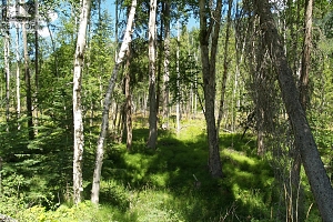 River Stone Road Lot# Lot D - Photo 18