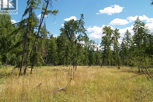 River Stone Road Lot# Lot D - Photo 19