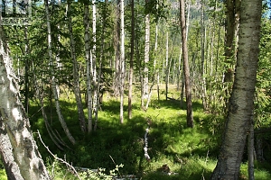 River Stone Road Lot# Lot D - Photo 21