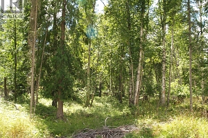 River Stone Road Lot# Lot D - Photo 25