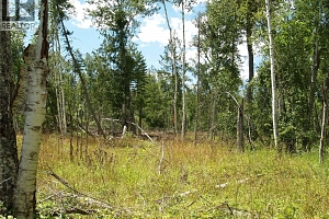 River Stone Road Lot# Lot D - Photo 27