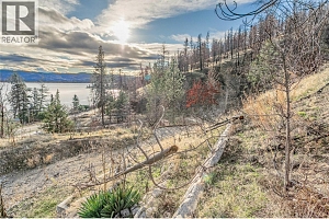 2326 Westside Road - Photo 49