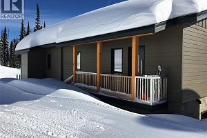 375 Feathertop Way Lot# 34 - Photo 2