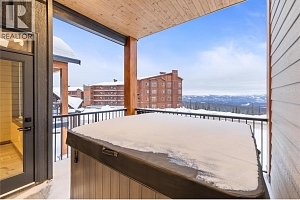 255 Feathertop Way Unit# 88 - Photo 15