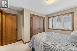 255 Feathertop Way Unit# 88 - Photo 36