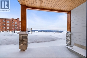 255 Feathertop Way Unit# 88 - Photo 50