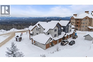 255 Feathertop Way Unit# 88 - Photo 51