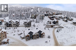 255 Feathertop Way Unit# 88 - Photo 54