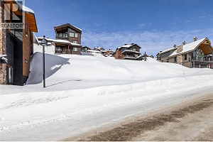 325 Feathertop Way - Photo 21