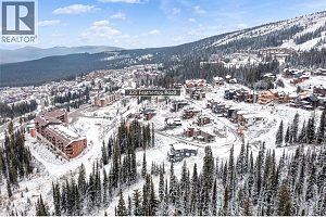 325 Feathertop Way - Photo 30