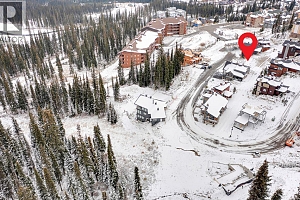 325 Feathertop Way - Photo 18