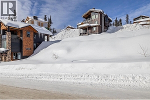 325 Feathertop Way - Photo 20