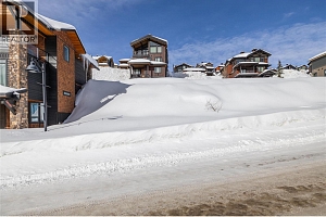 325 Feathertop Way - Photo 23