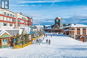 325 Feathertop Way - Photo 48