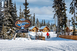 355 Feathertop Way - Photo 11