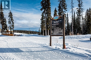 355 Feathertop Way - Photo 12