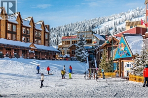 355 Feathertop Way - Photo 16