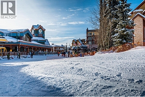 355 Feathertop Way - Photo 18