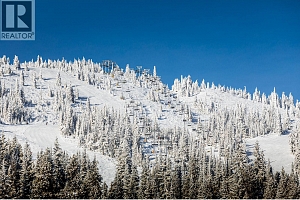 355 Feathertop Way - Photo 20