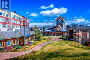 355 Feathertop Way - Photo 24