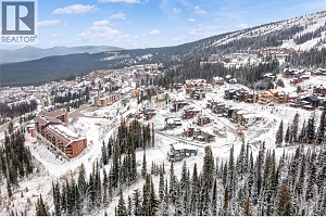 355 Feathertop Way - Photo 9