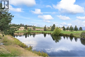 3888 Gallaghers Pinnacle Way Unit# 13 - Photo 38