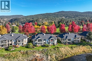 3888 Gallaghers Pinnacle Way Unit# 13 - Photo 42