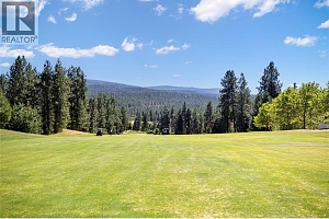 3888 Gallaghers Pinnacle Way Unit# 13 - Photo 60