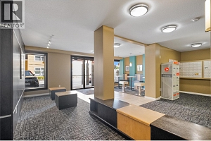 567 Yates Road Unit# 210 - Photo 5