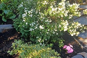 4345 Gallaghers Fairway S - Photo 43