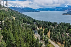 133 Goldclaim Road - Photo 58